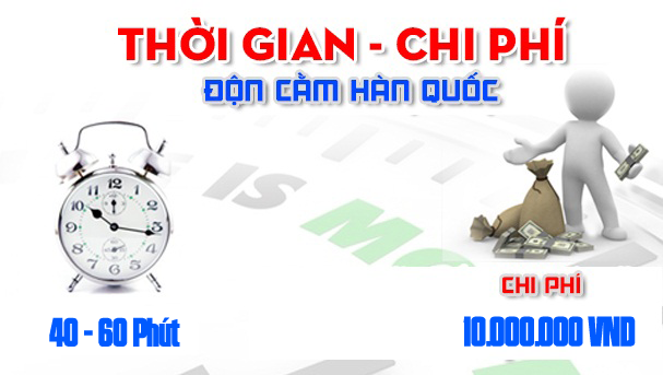 chi-phi-don-cam-han-quoc-copy